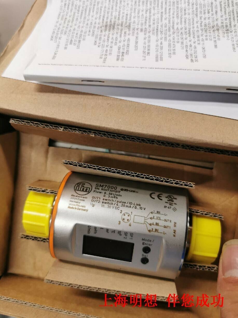 IFM PG2409