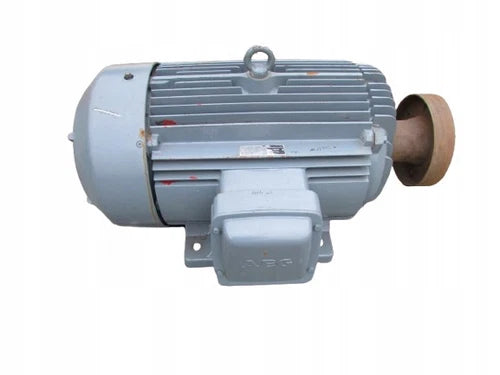 Motor el¨¦trico AEG AM315MM6 110kW 990rpm IP54