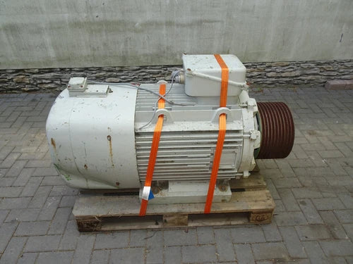 Motor el¨¦trico Leroy Somer LS315MR-T 048495/01