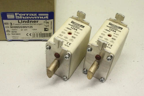 2x FERRAZ SHAWMUT NH00 Sicherungseinsatz Lindner 125A 500V NH00GG50V125 OVP