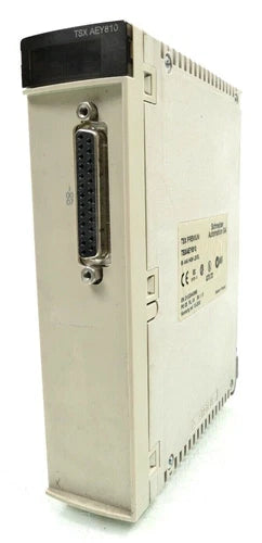 Schneider TSX PREMIUM TSXAEY810 8I ANA.HIGH LEVEL | PV:03 RL:04 SV:1.10